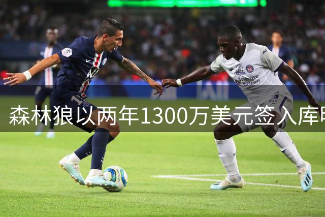 森林狼以两年1300万美元签入库明加，合同附带选项